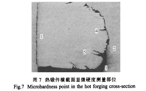 熱鍛件橫截面顯微硬度測量部位 熱鍛件橫截面顯微硬度測量部位