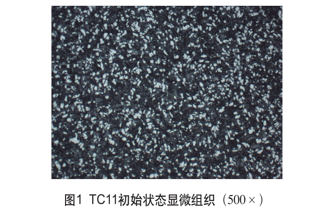 1648217349527942.jpg t1.jpg