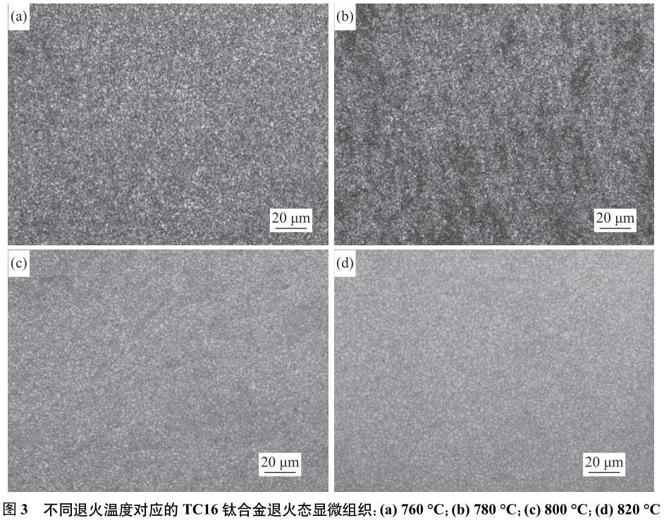 1688356912446154.jpg 360截圖16501110493244.jpg