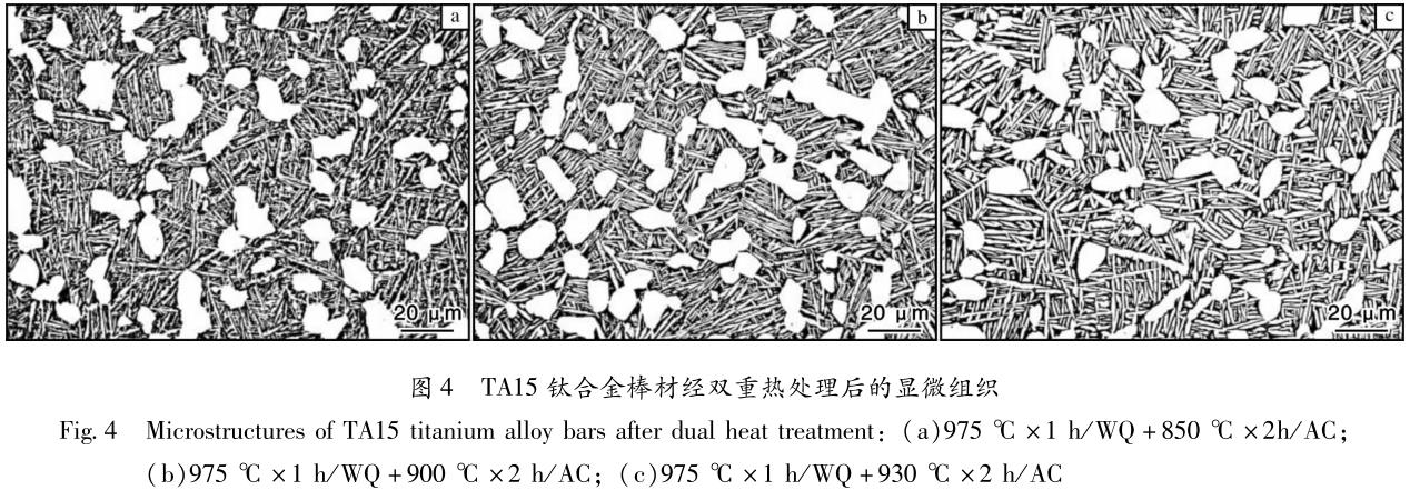 1694558238192361.jpg t4.jpg