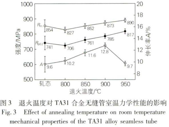 1695806539126475.jpg T3.jpg