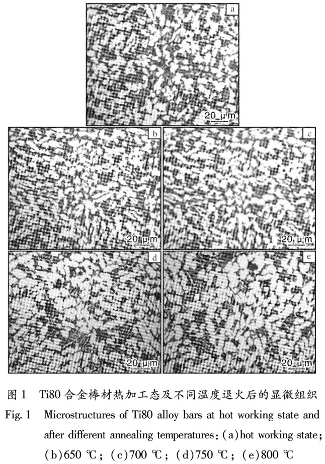 1699761880796162.jpg t1.jpg