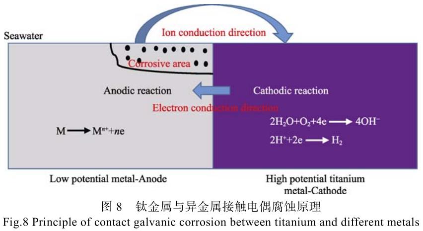 1700445553636606.jpg t8.jpg