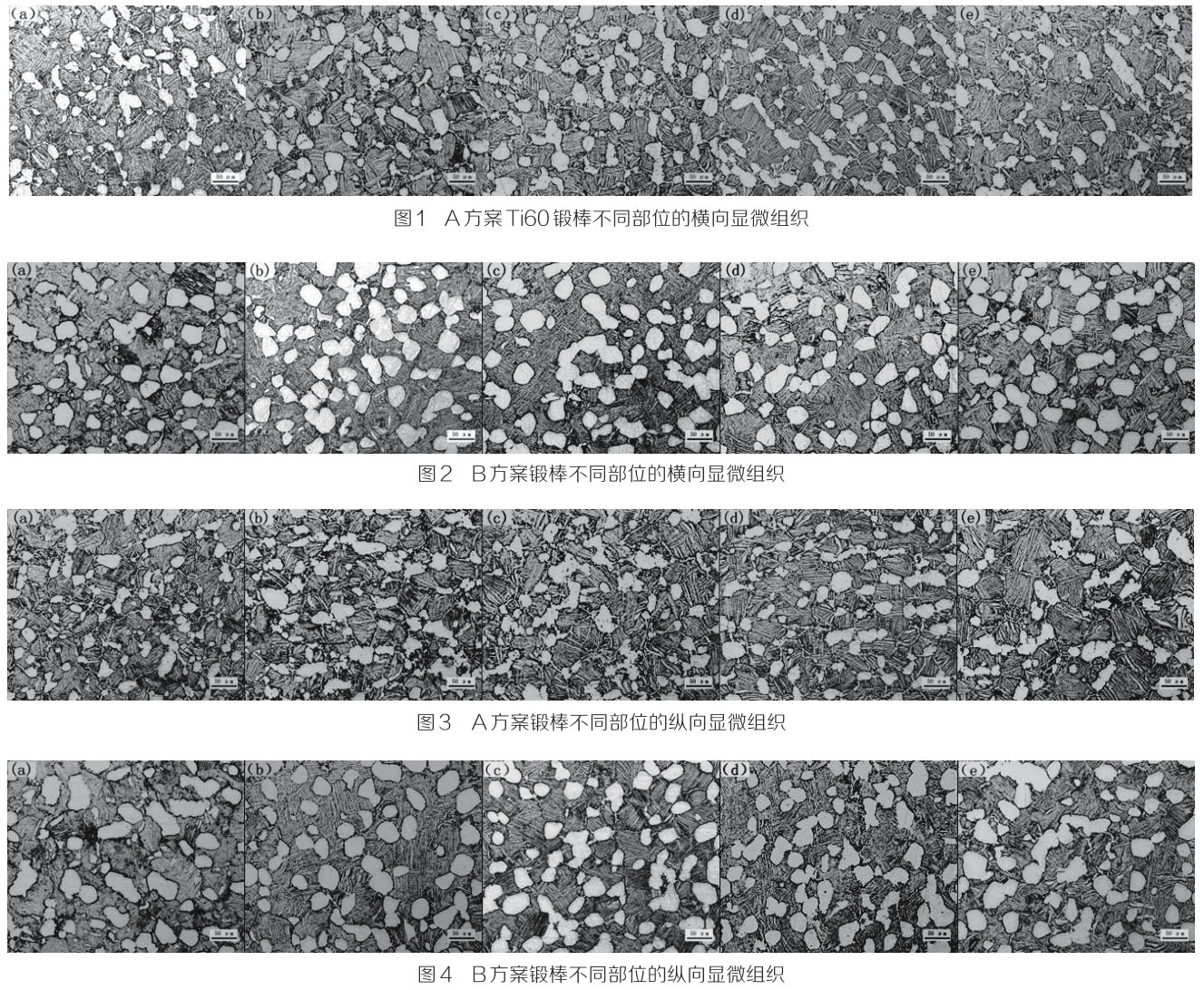 1705761380867297.jpg t1-4.jpg