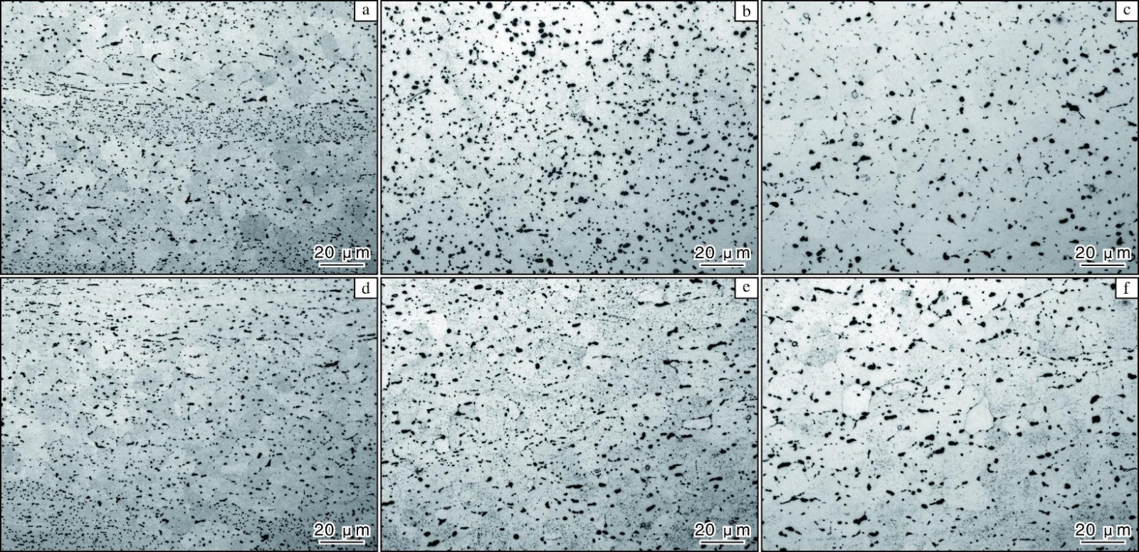 1709634573603535.jpg 2.jpg