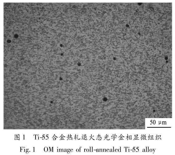 1713442853212180.jpg 未標(biāo)題-1.jpg