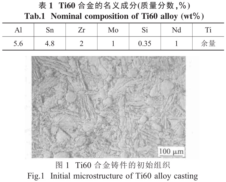 1713495376215042.jpg b1-t1.jpg