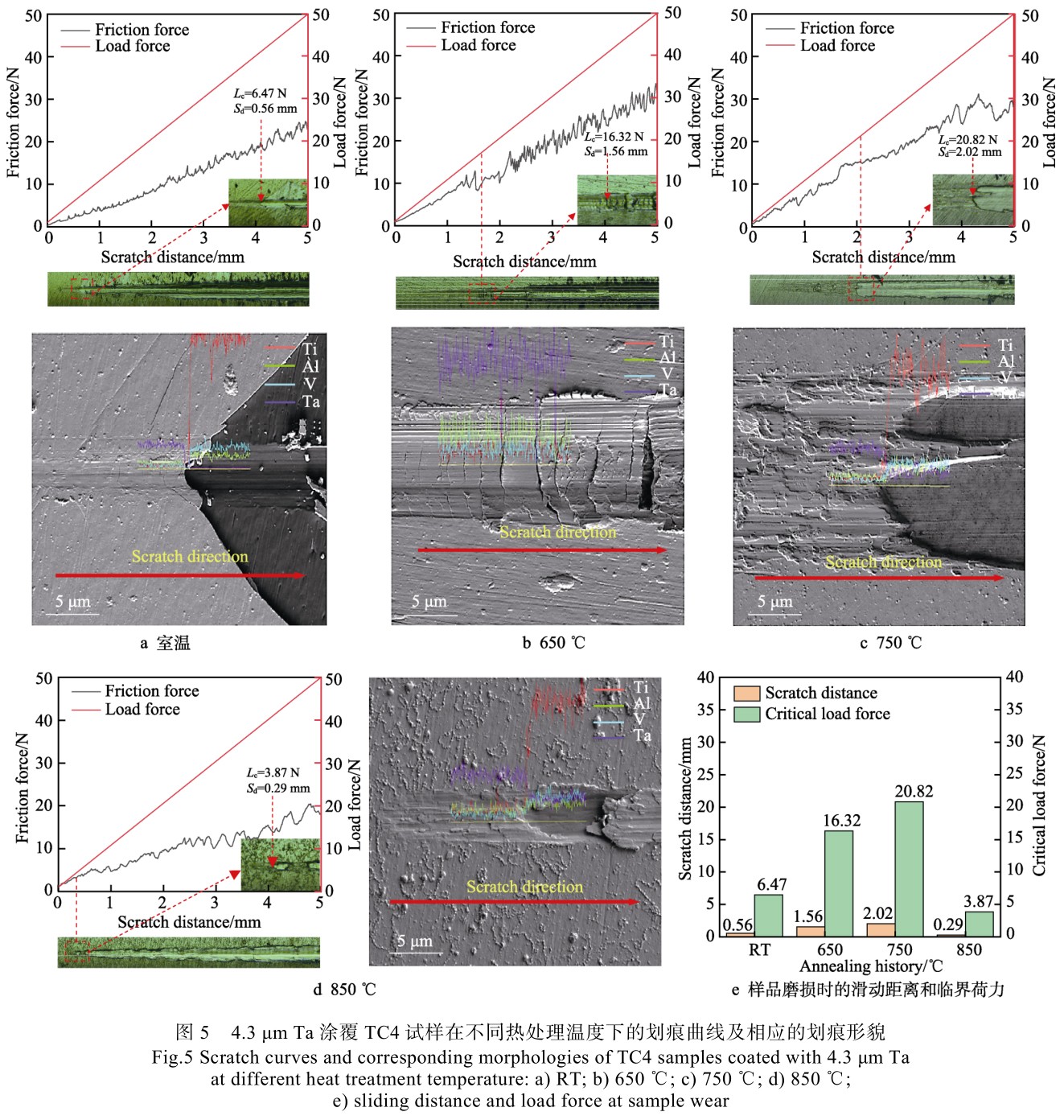 1715508175256346.jpg t5.jpg