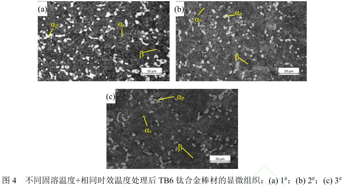 1715515491980825.jpg t4.jpg