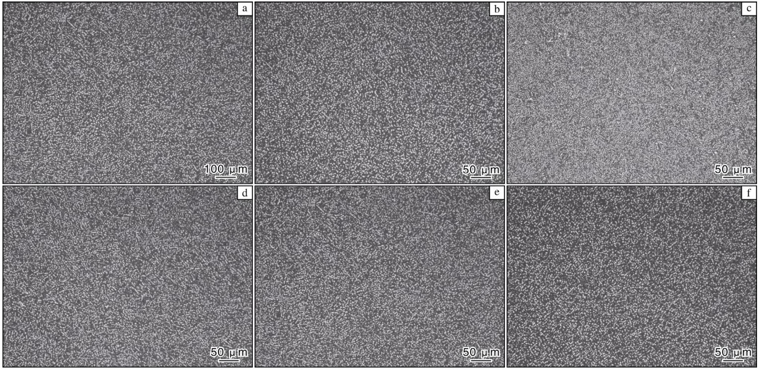 1719997500160546.jpg 3.jpg