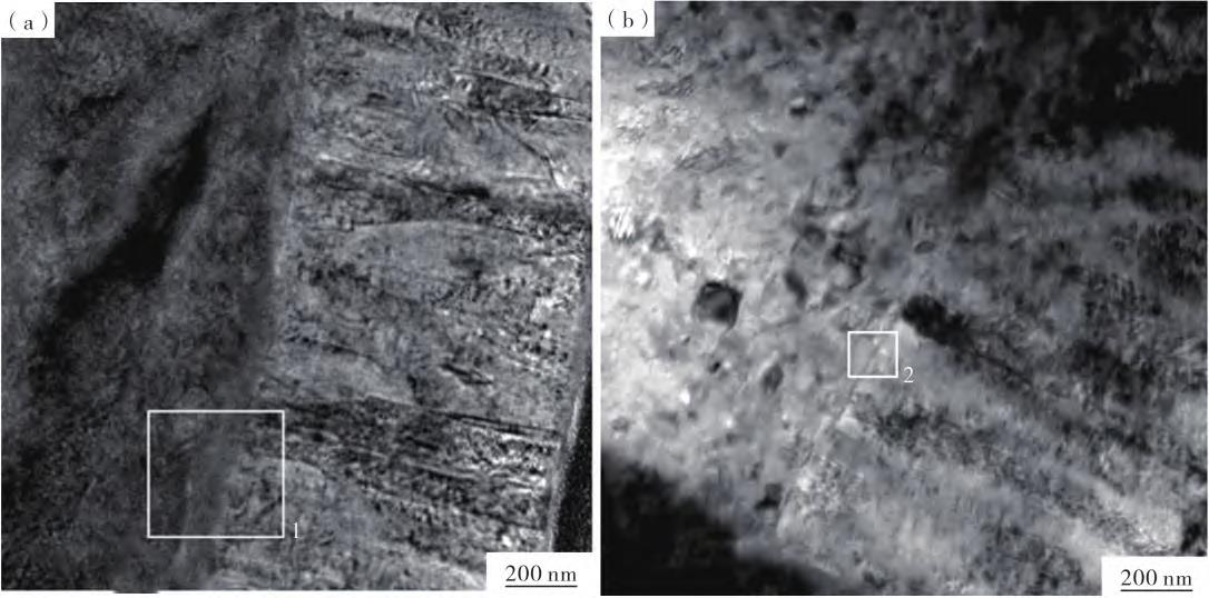 1720079274323099.jpg 5.jpg