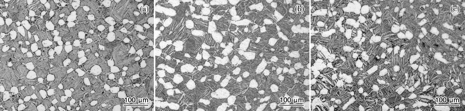 1720103076776075.jpg 2.jpg