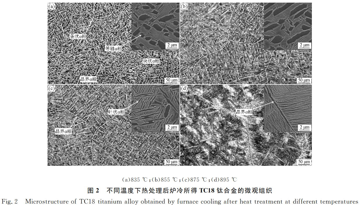 1731157686814555.png 截圖20241109210602.png