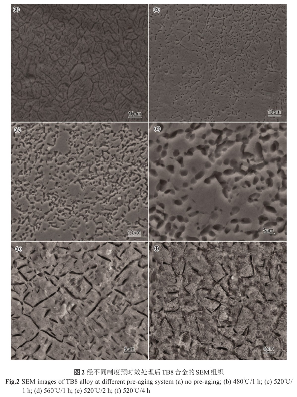 1733194173998496.jpg 2.jpg