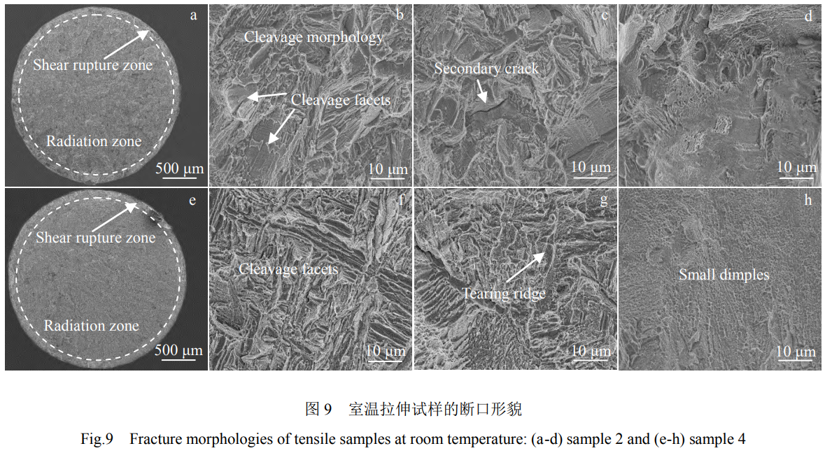 1739628404486864.png 9.png