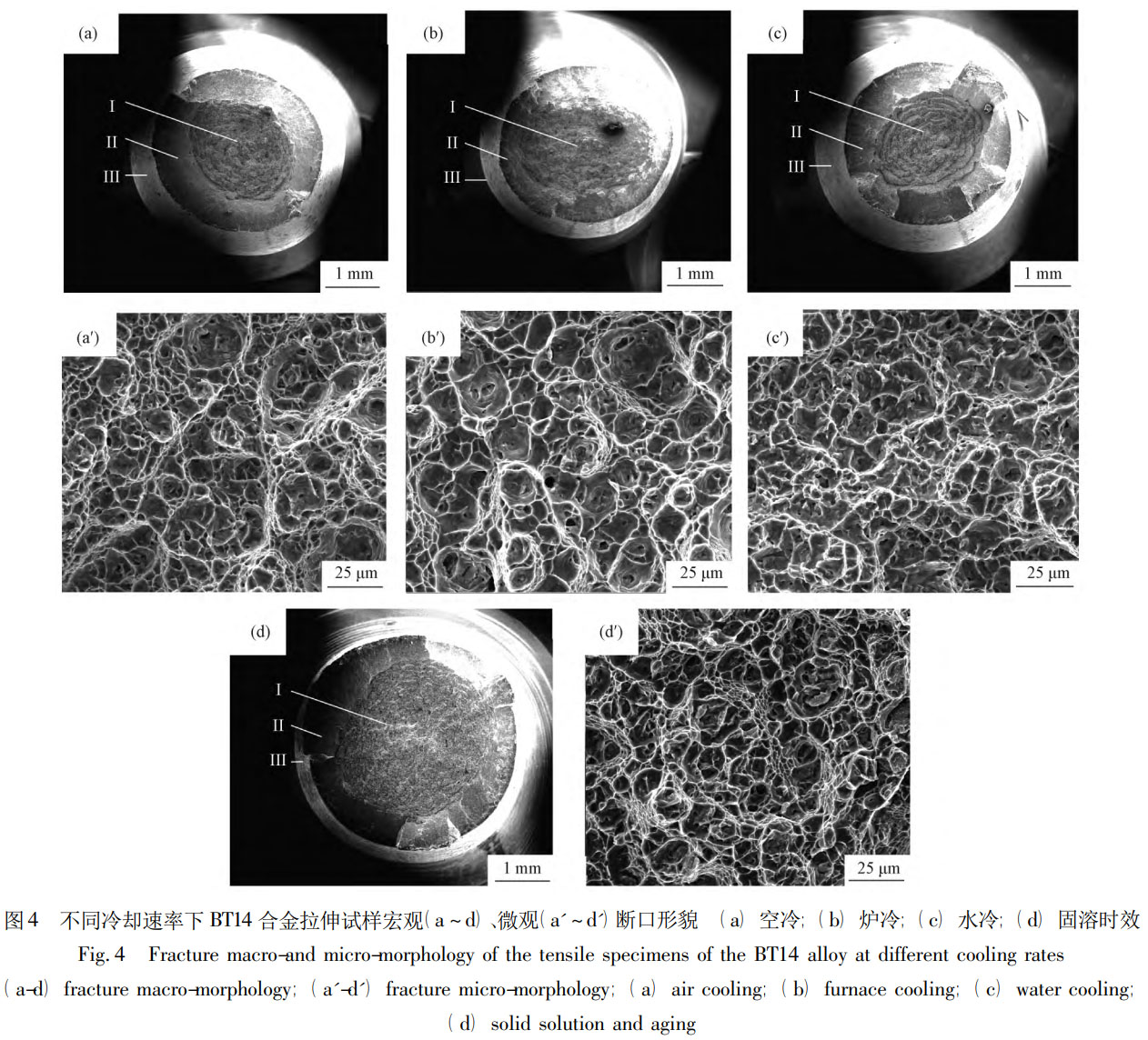 1760926126911418.jpg 未標題-1.jpg