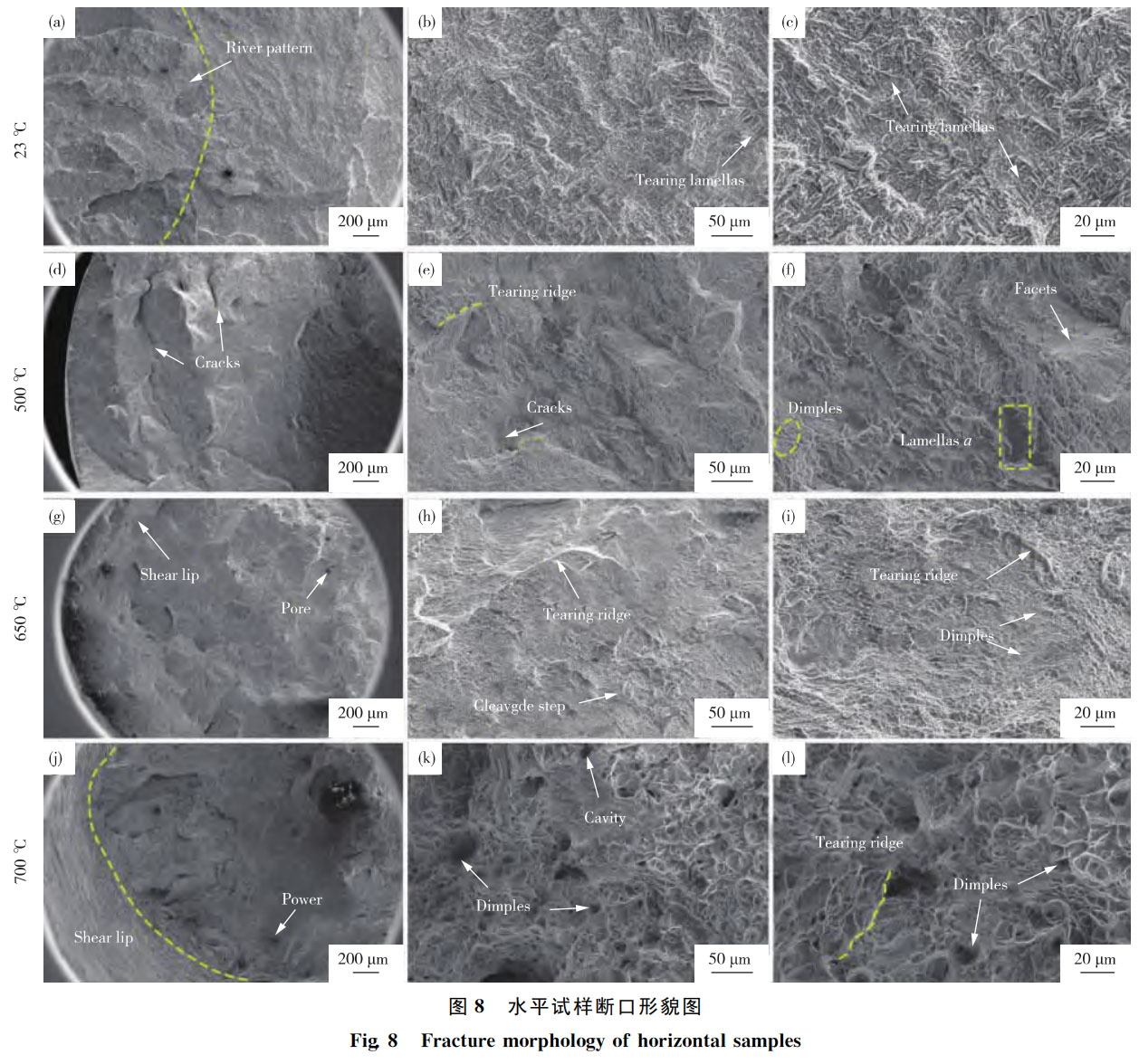 1762347884540697.jpg 未標(biāo)題-3.jpg