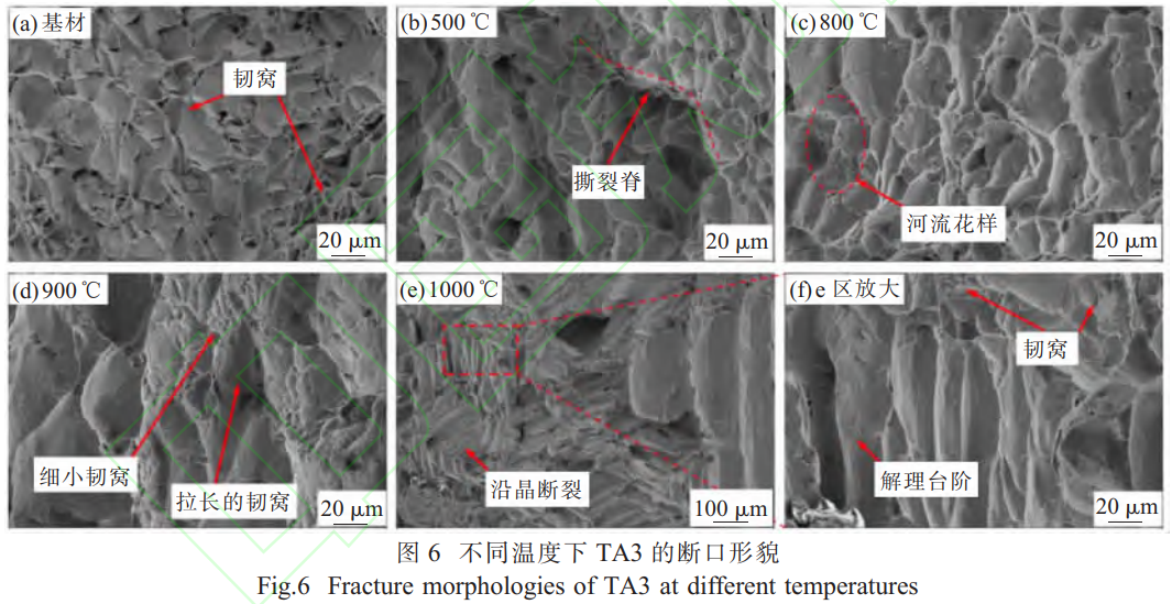 1765877857399718.png 截圖20251216173527.png