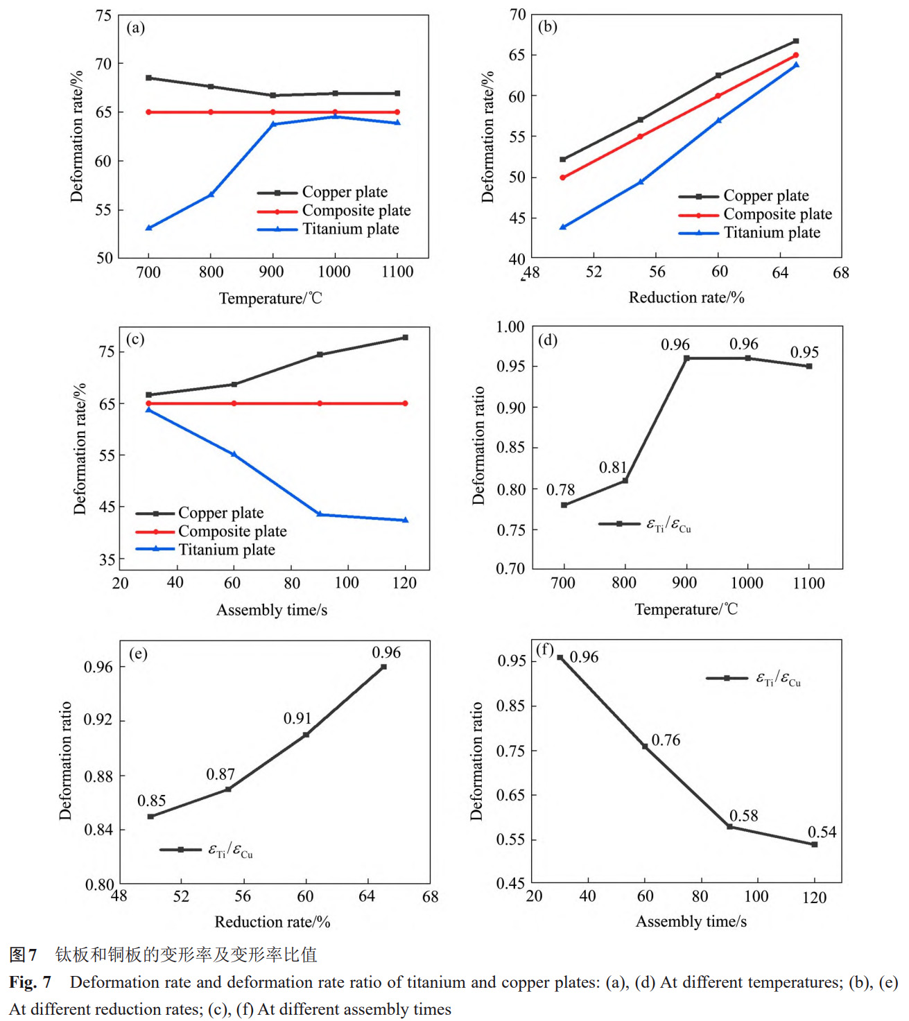 1766137466392980.jpg 7.jpg
