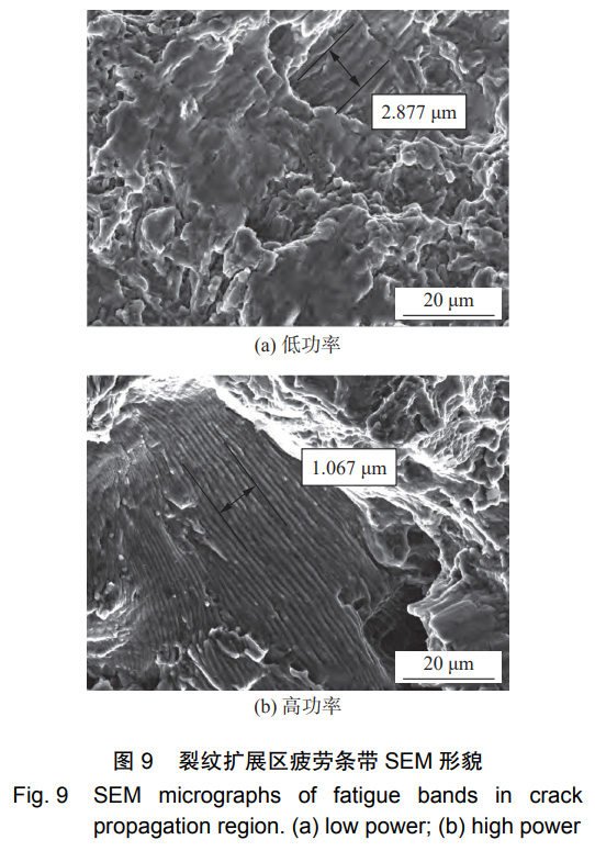 1766307448610368.jpg 9.jpg