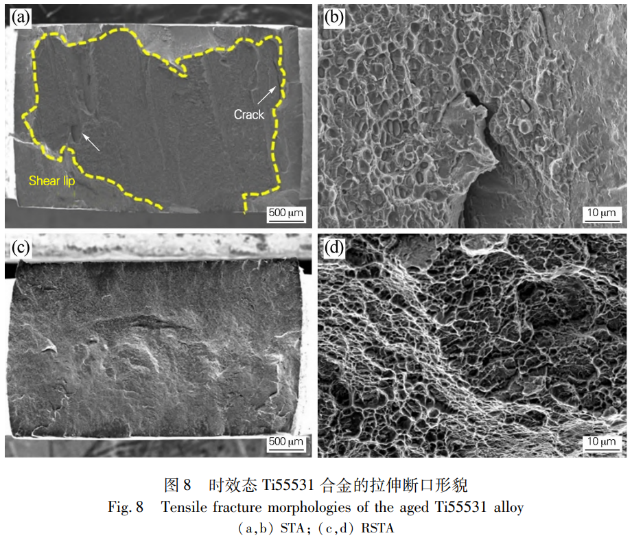 1766459511663077.png 截圖20251223110835.png