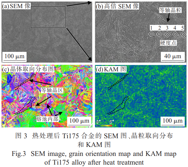 1772674593493236.png 3.png