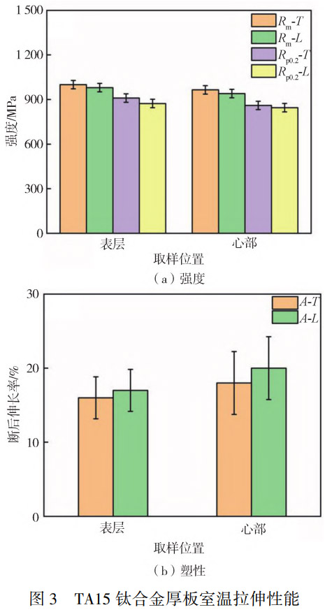 1773192835430648.jpg 3.jpg