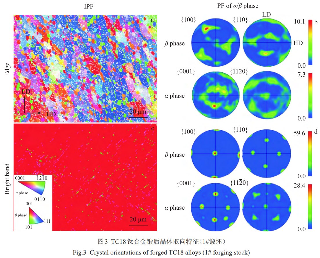 1773284757556848.jpg 3.jpg