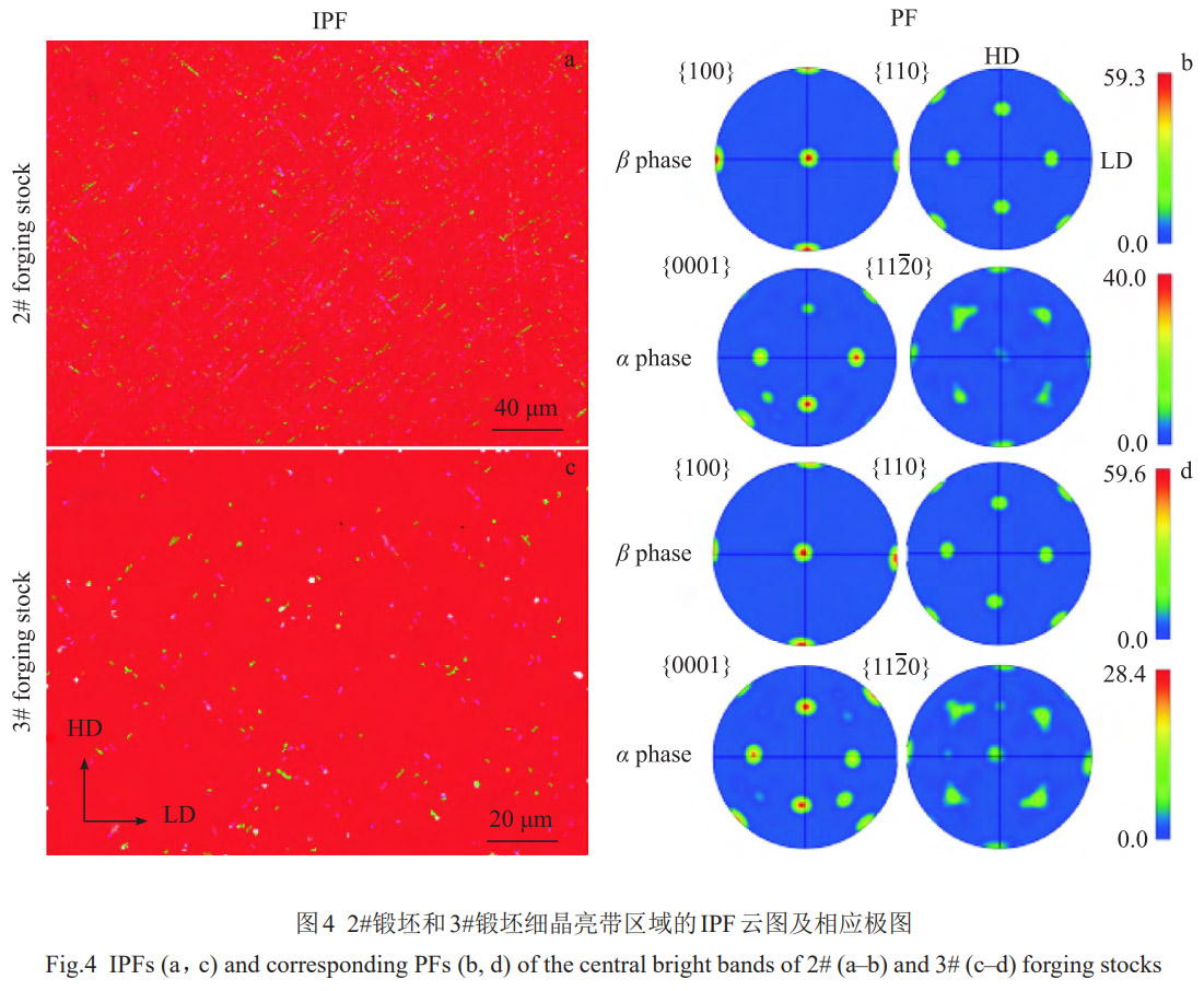 1773284767476883.jpg 4.jpg