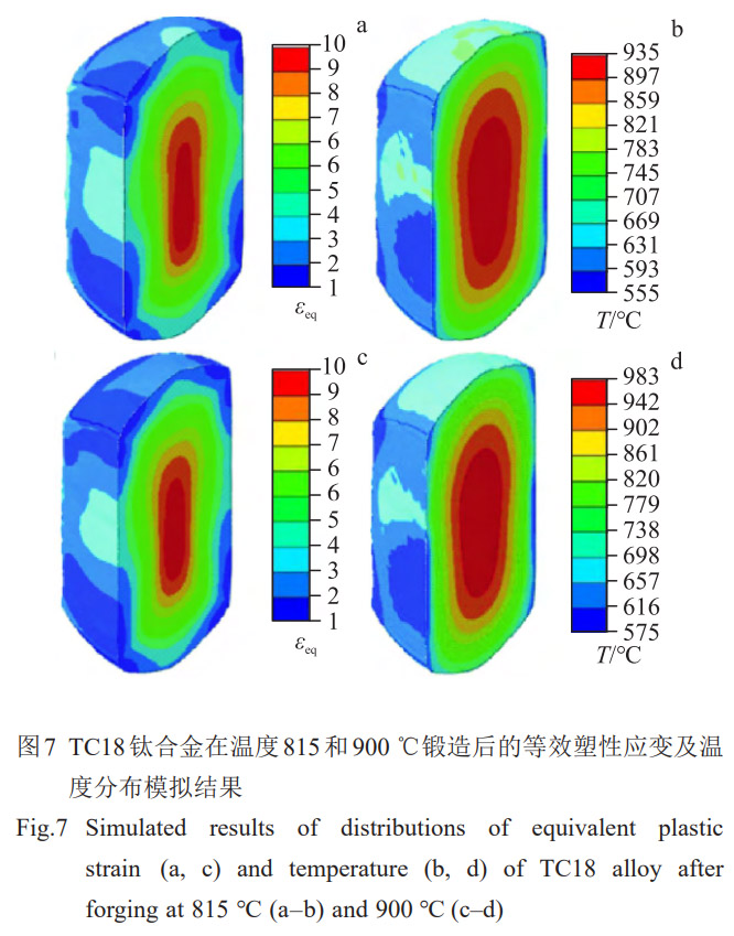 1773284806637906.jpg 7.jpg