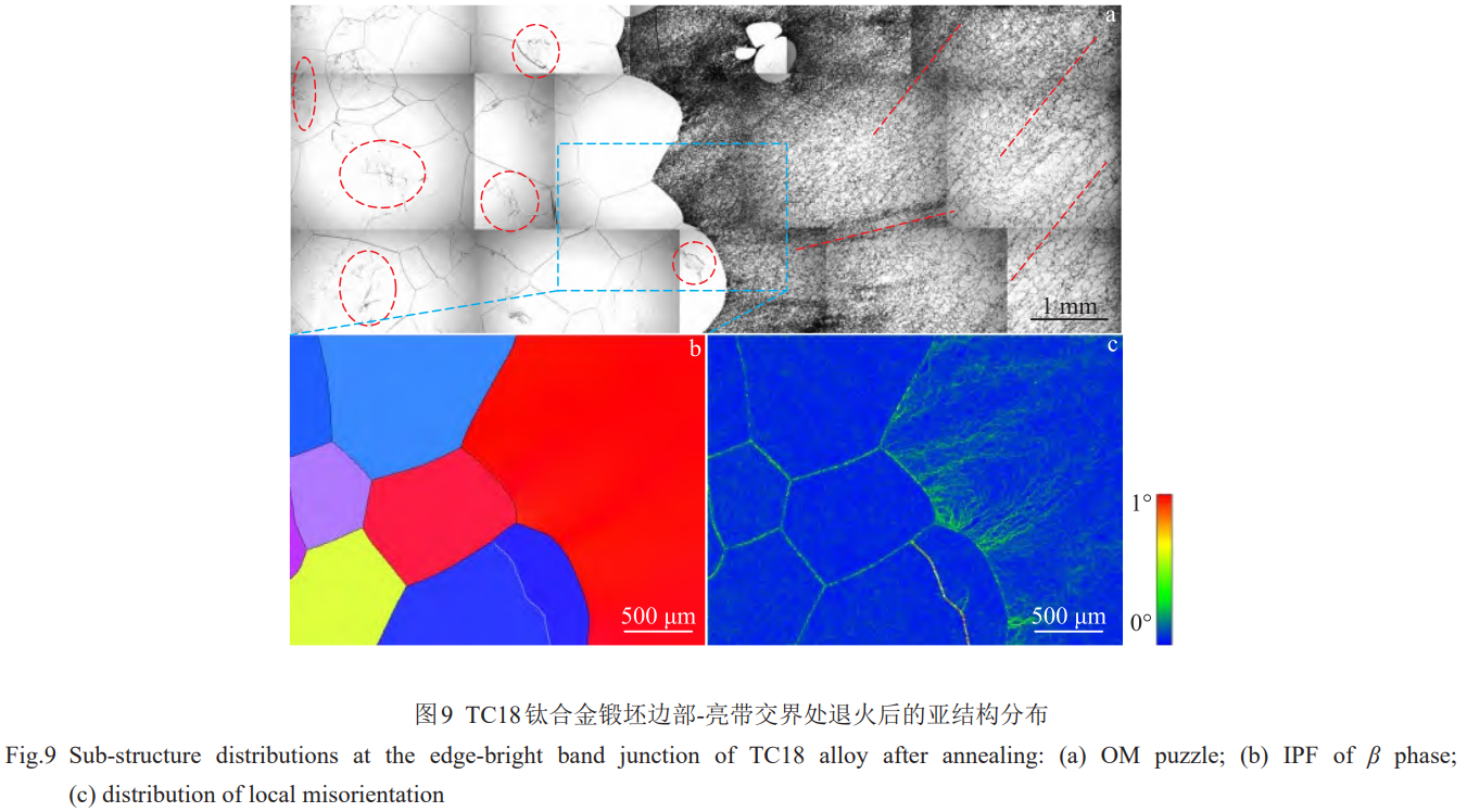 1773284829771400.png 9.png