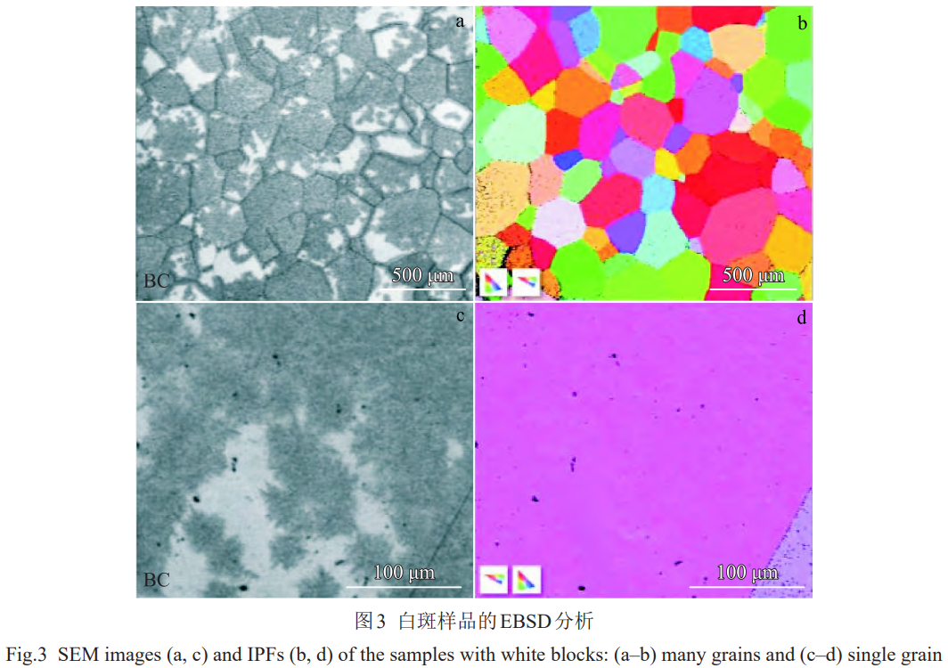 1773307419353525.png 3.png