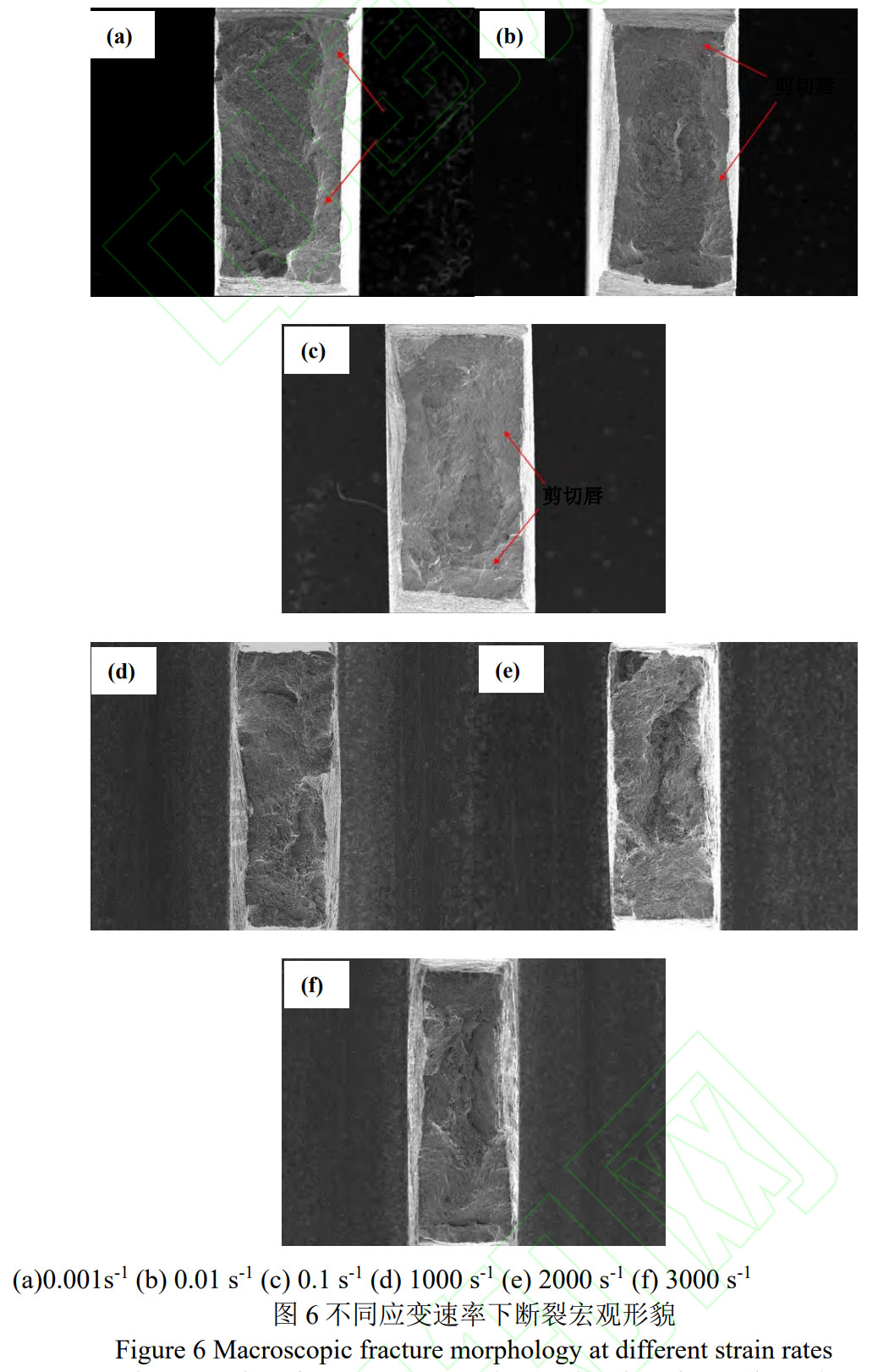 1775565780550775.jpg 6.jpg