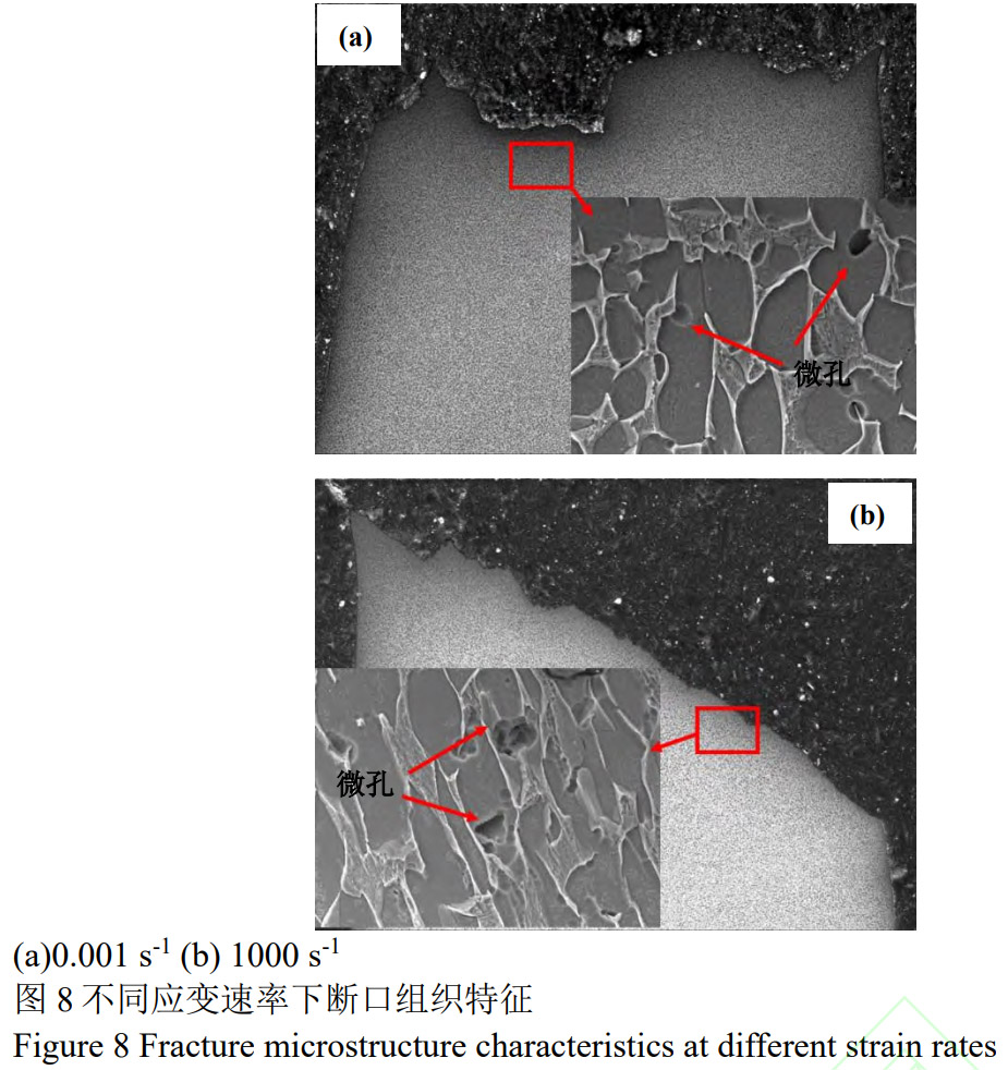 1775565805611580.jpg 8.jpg