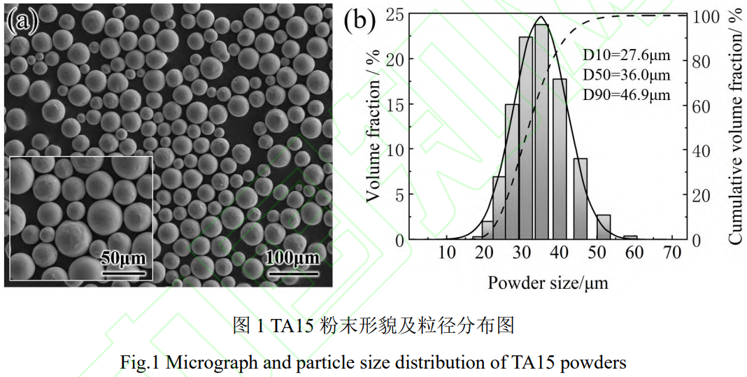 1775619169188966.png 1.png