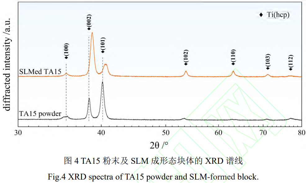 1775619201459882.png 4.png