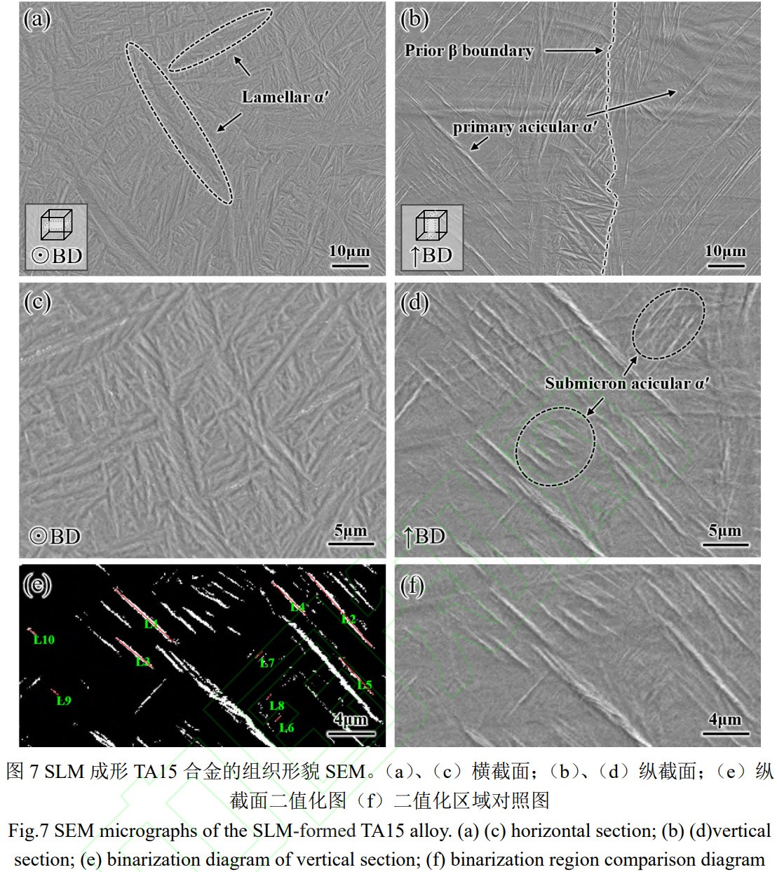 1775619228716940.jpg 7.jpg