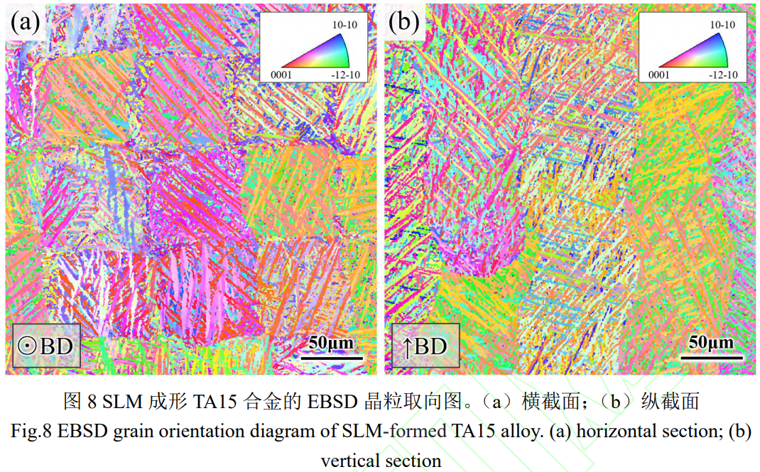 1775619239820810.png 8.png