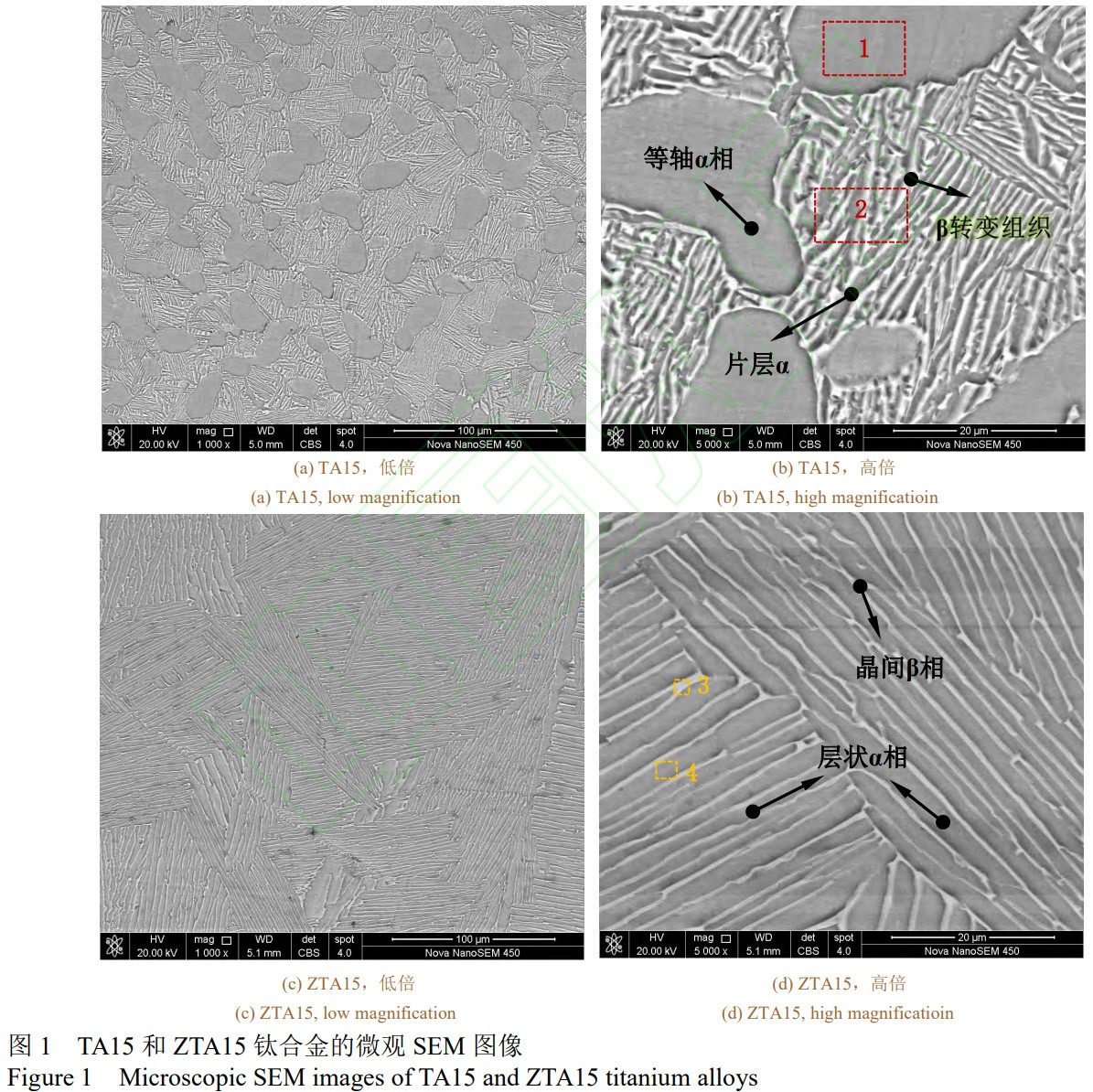 1776043239896540.jpg 1.jpg