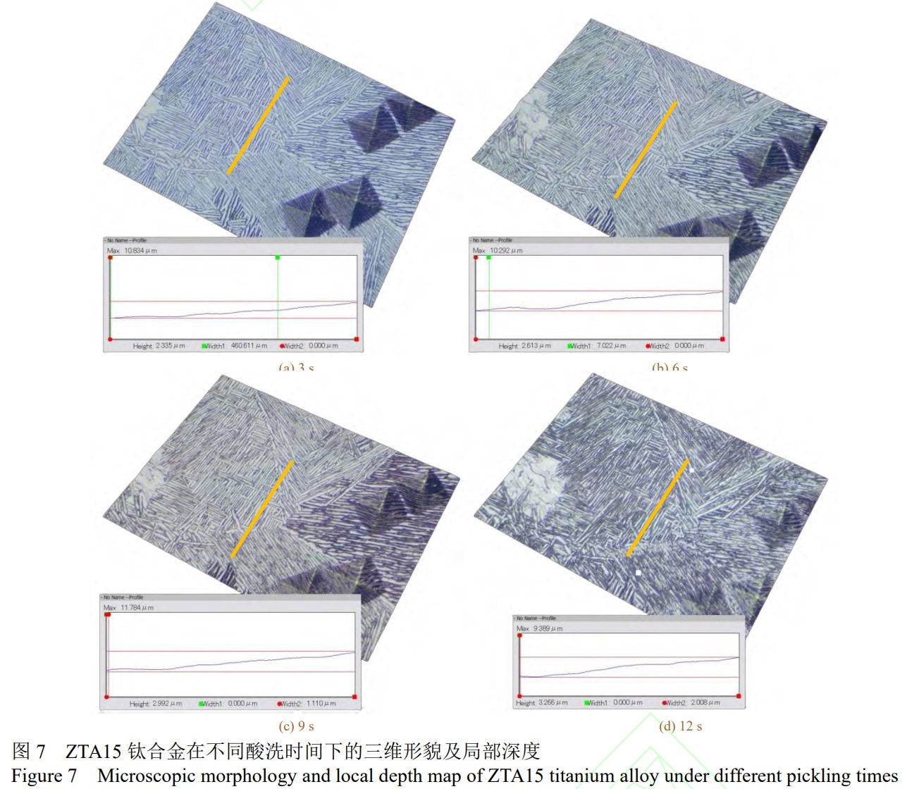 1776043491833540.jpg 7.jpg