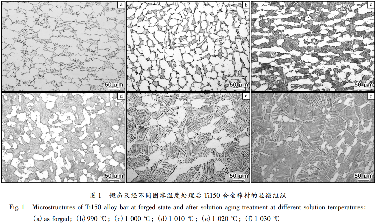 1776044899394869.png 1.png